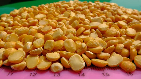 Yellow Split Peas